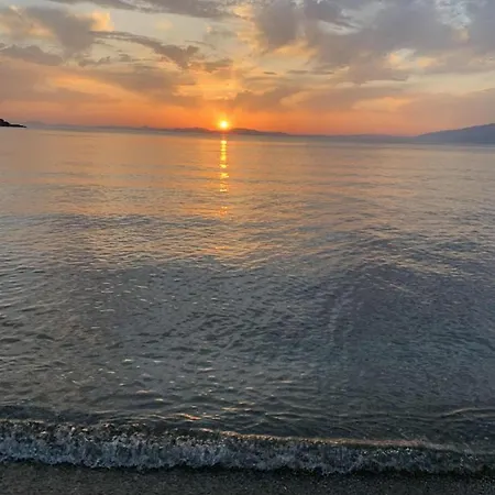 Naiada * מילינה