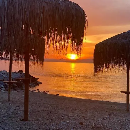 Апартаменты Naiada